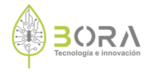 Bora